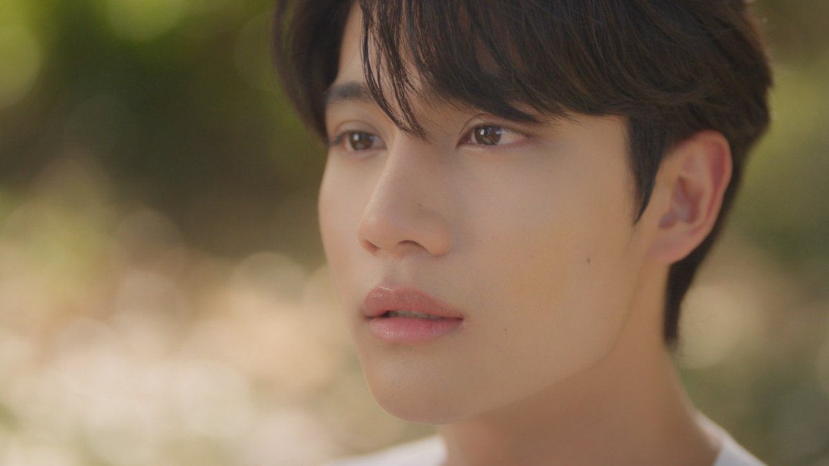 111write tweet media