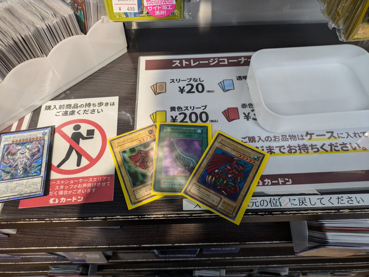 ロハン tweet media