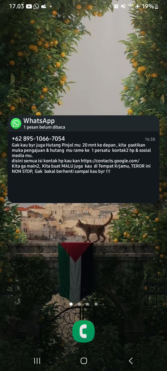 KWON 🇵🇸 tweet media