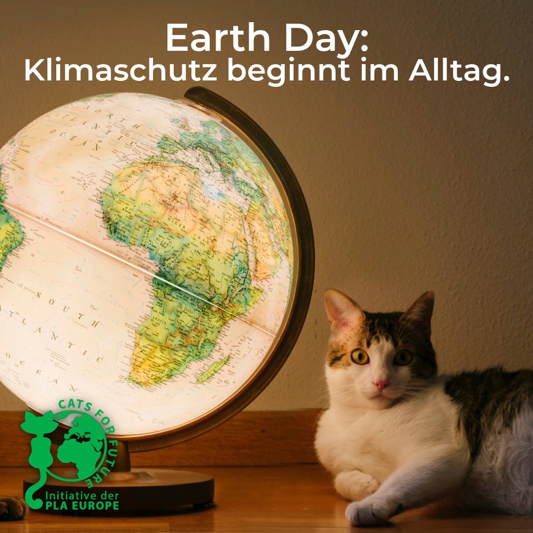 cats4future's tweet photo. 🌍🐾 Heute ist Earth Day! Klimaschutz beginnt im Alltag, z. B. im Katzenklo, denn Katzenstreu verursacht in Deutschland jährlich 630.000 Tonnen Müll & über 550.000 Tonnen CO₂ – dabei gibt es mit pflanzlicher Streu längst eine nachhaltige Alternative. Dadurch ließen sich pro Haushalt & Jahr 33kg CO2 & 200kg Müll einsparen. Also umsteigen und Gutes tun – für unseren Planeten!