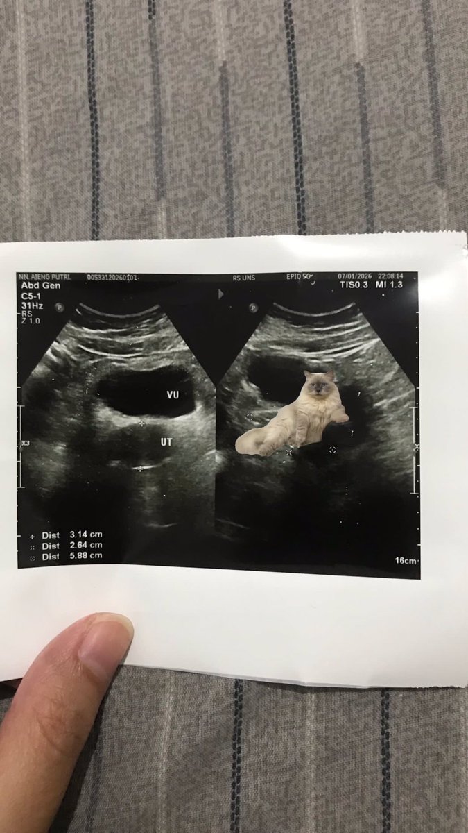 Aje 🐥 tweet media