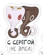 Тревожный Серёжа tweet media