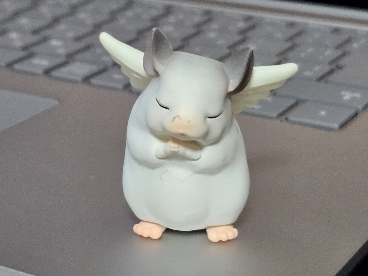 ぎんと2(=^_^=) tweet media