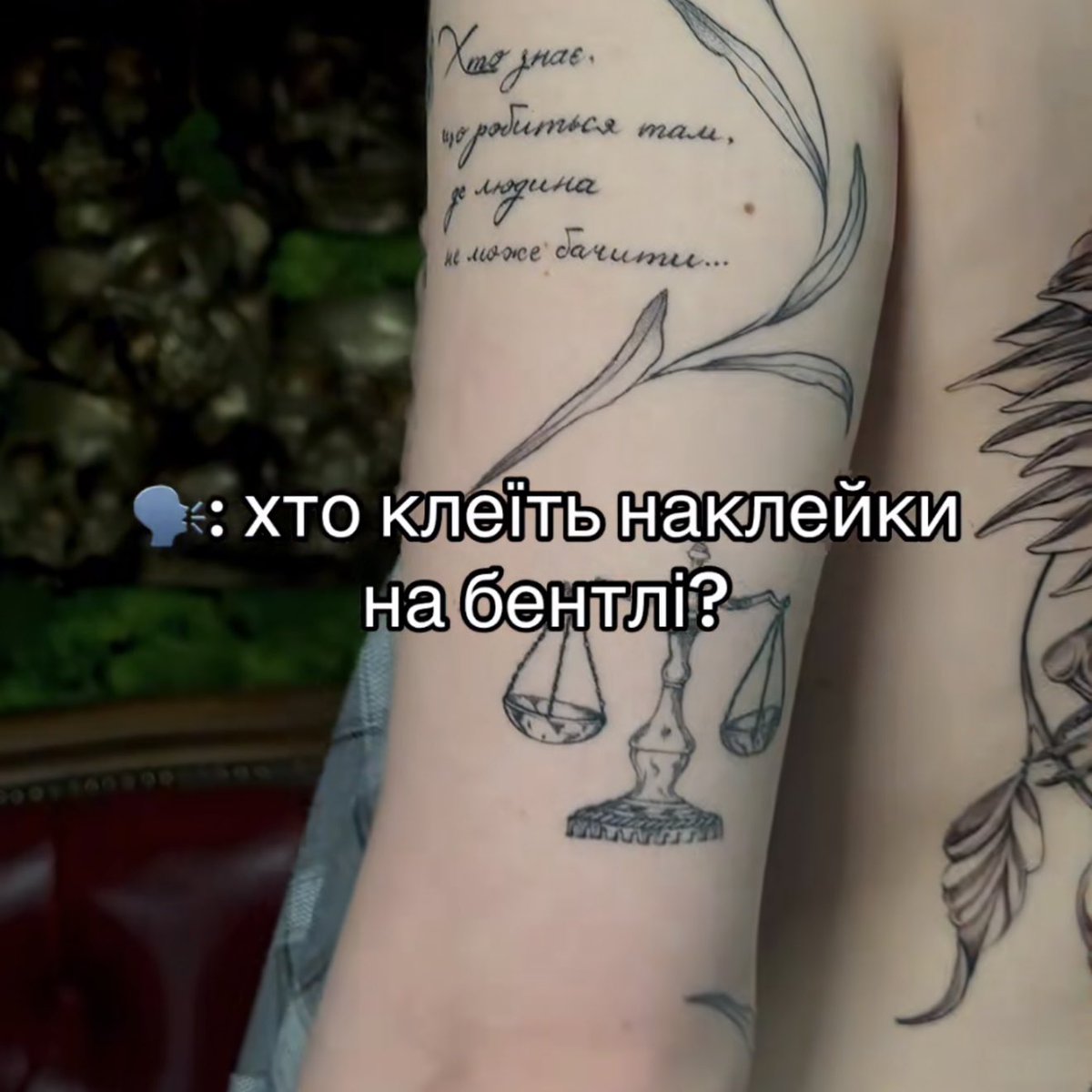 слат мімоза tweet media