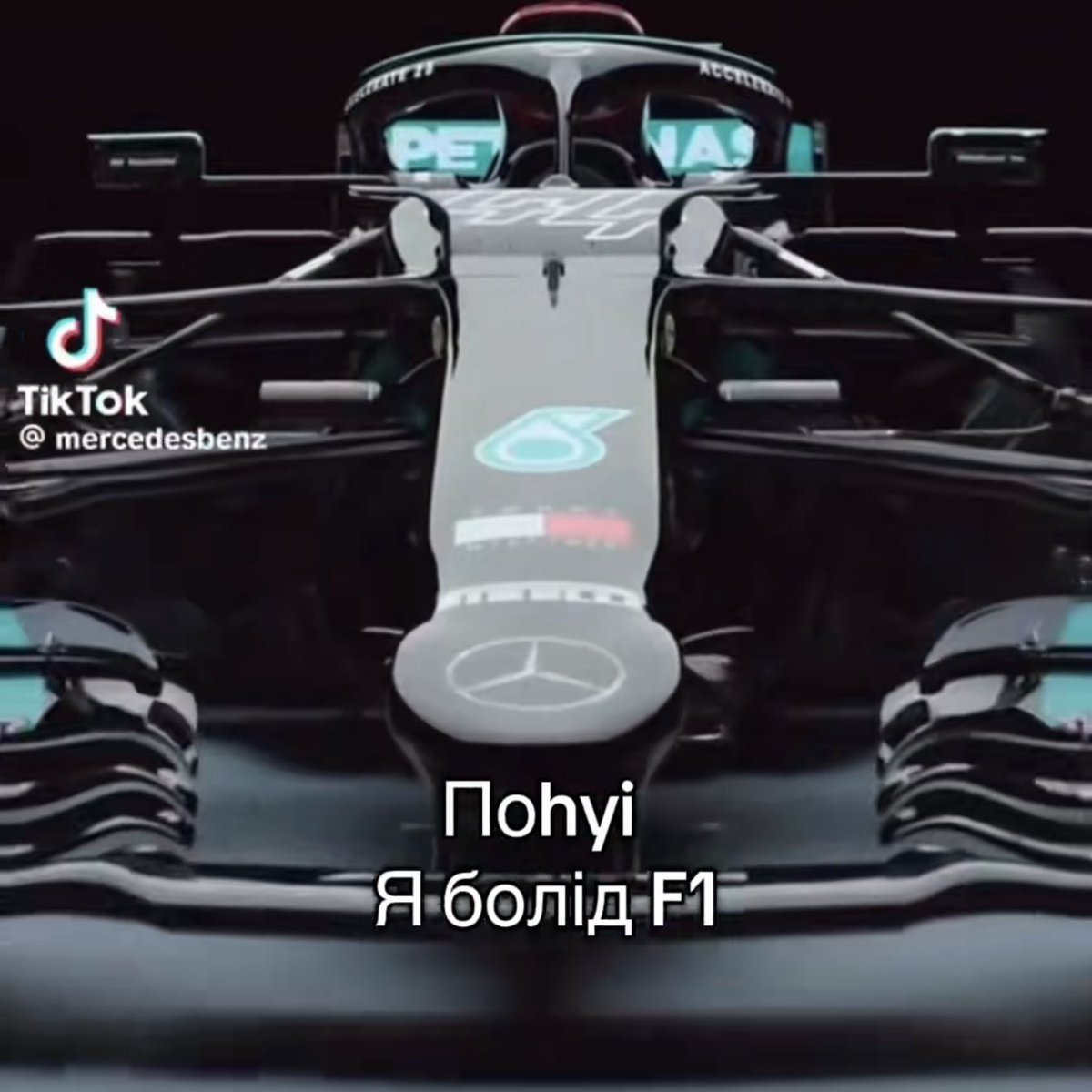 слат мімоза tweet media