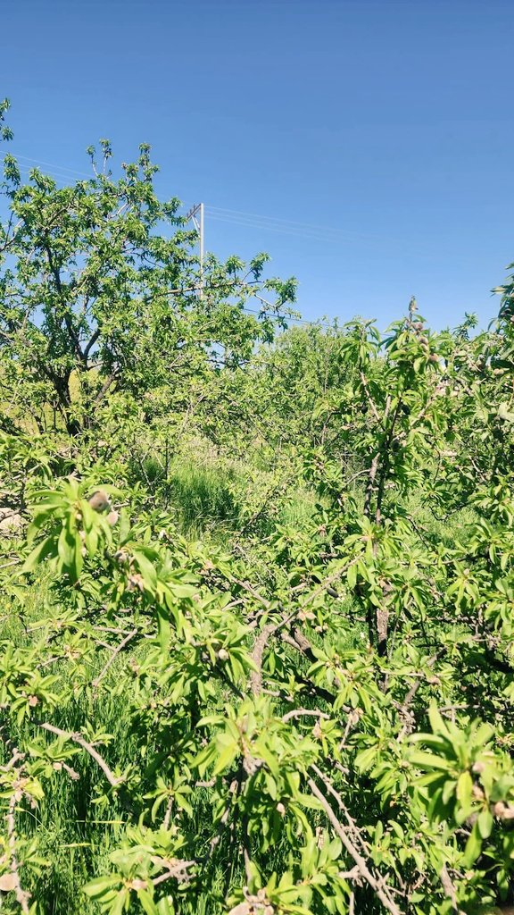 ‏أحمد 𓂆 tweet media