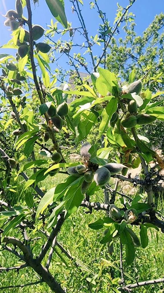 ‏أحمد 𓂆 tweet media