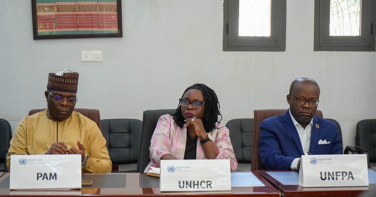 ONU_Niger tweet media