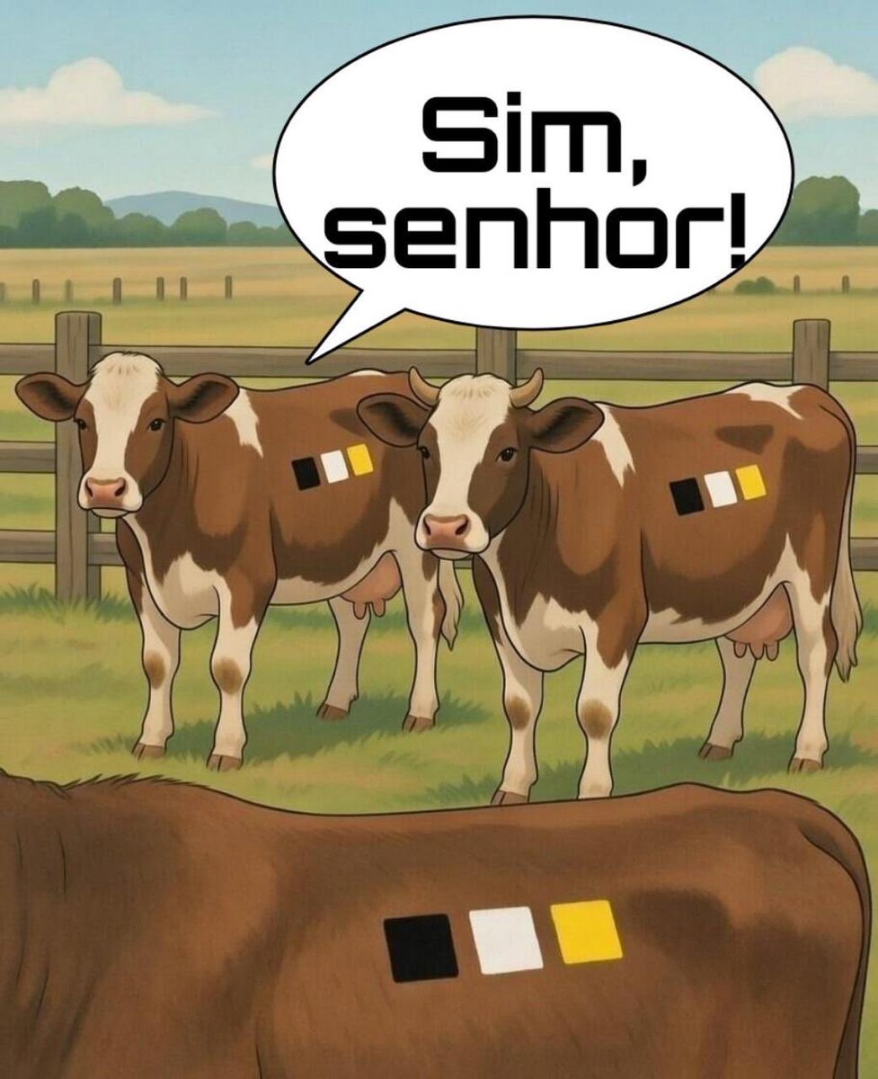 O Câncer de Jack tweet media