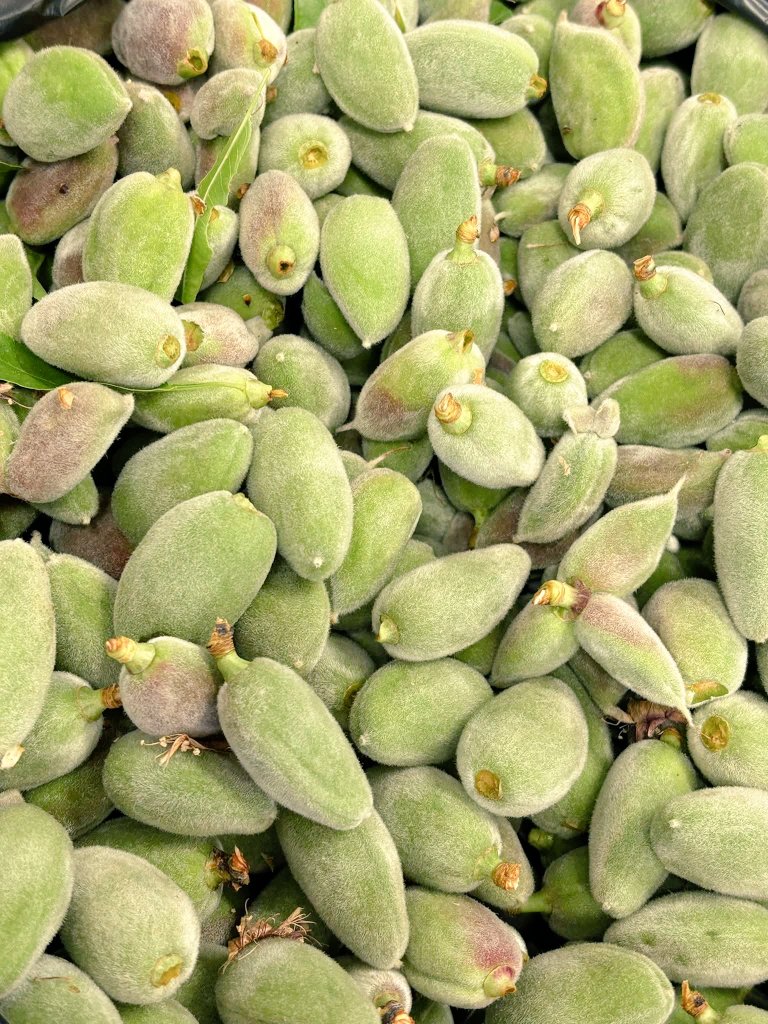 ‏أحمد 𓂆 tweet media