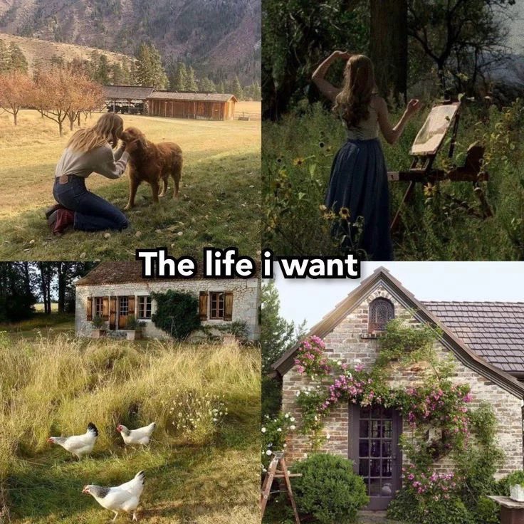 𝘤𝘢𝘣𝘪𝘯 𝘷𝘪𝘴𝘶𝘢𝘭𝘴 ❁࿐❁ tweet media