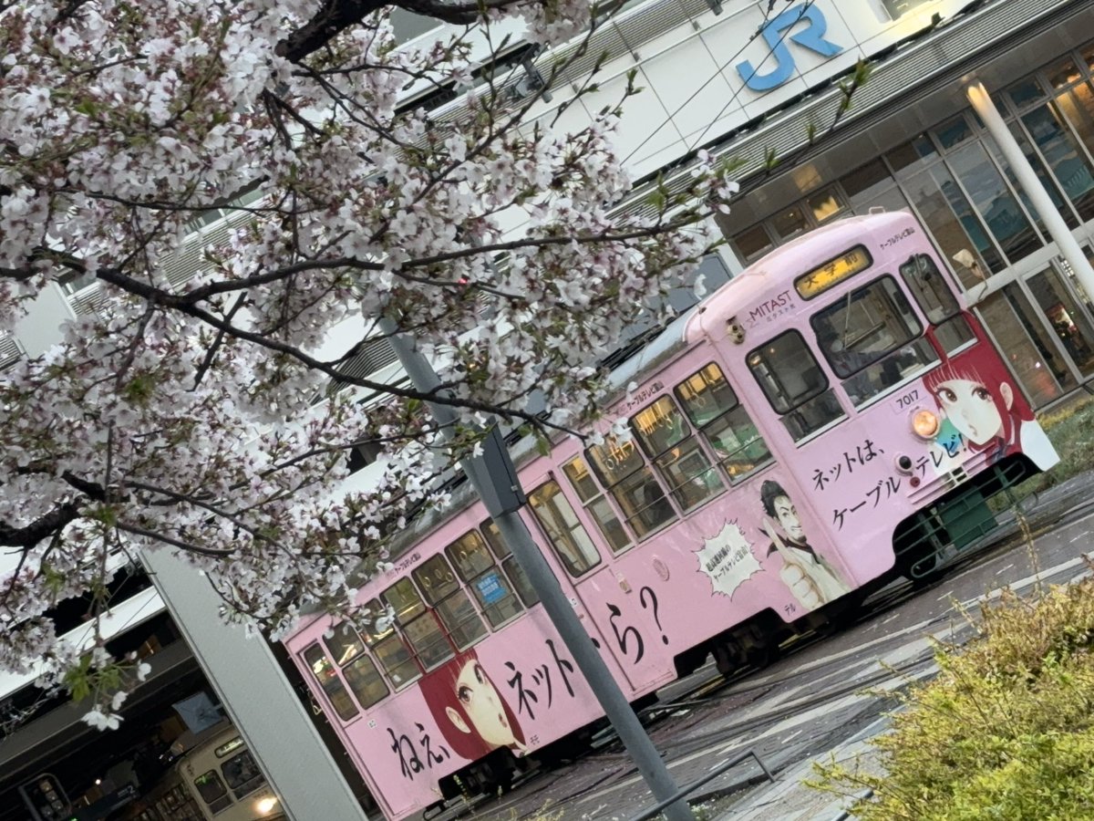 安悠-anyu- tweet media