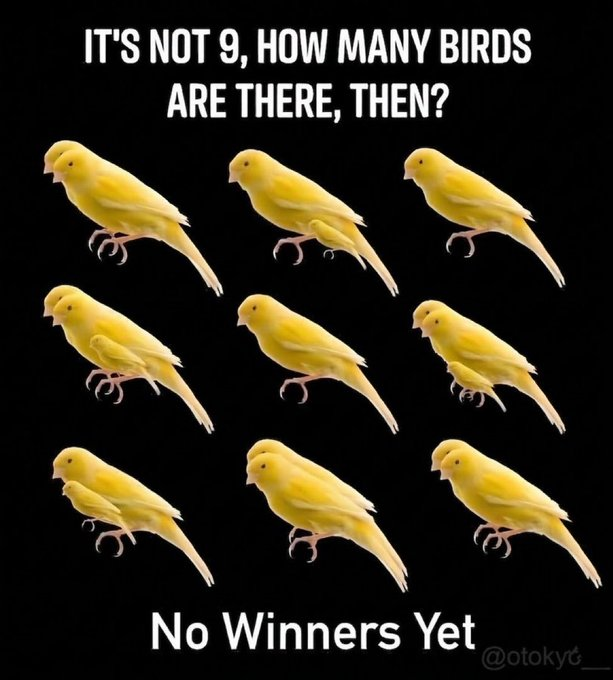 Love Music tweet media