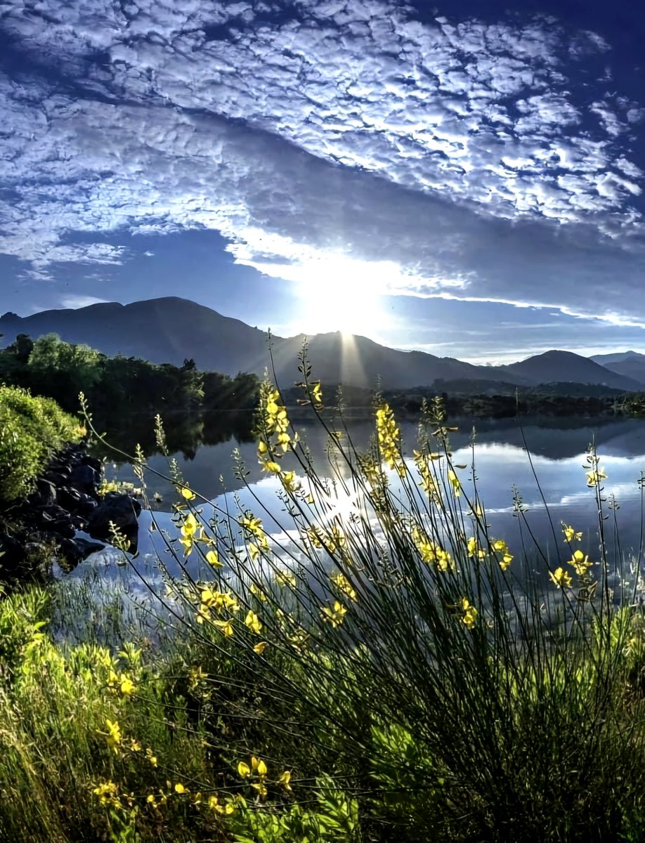 Leonor08159041's tweet photo. Good morning 🌼🍃
                             Enjoy your day 💙 https://t.co/CpsyxjA1Sy