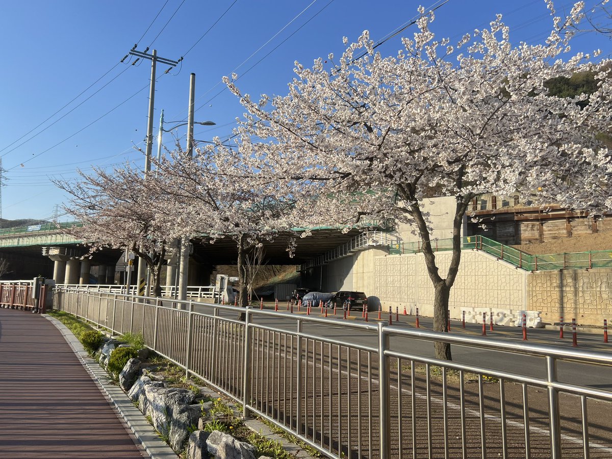 ʚ공 백 空白ɞ tweet media