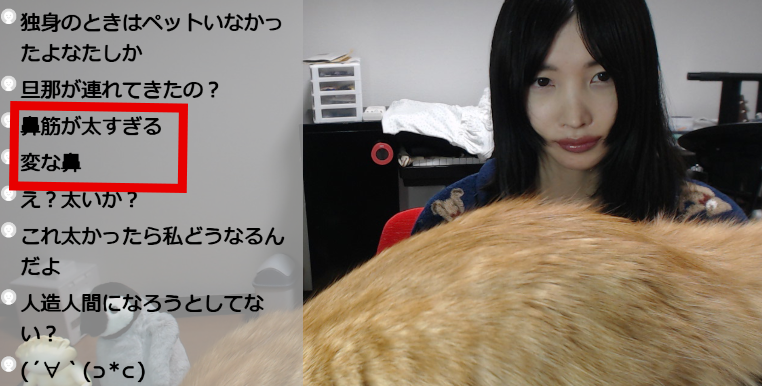 あいがみ(藍上)🐧 tweet media