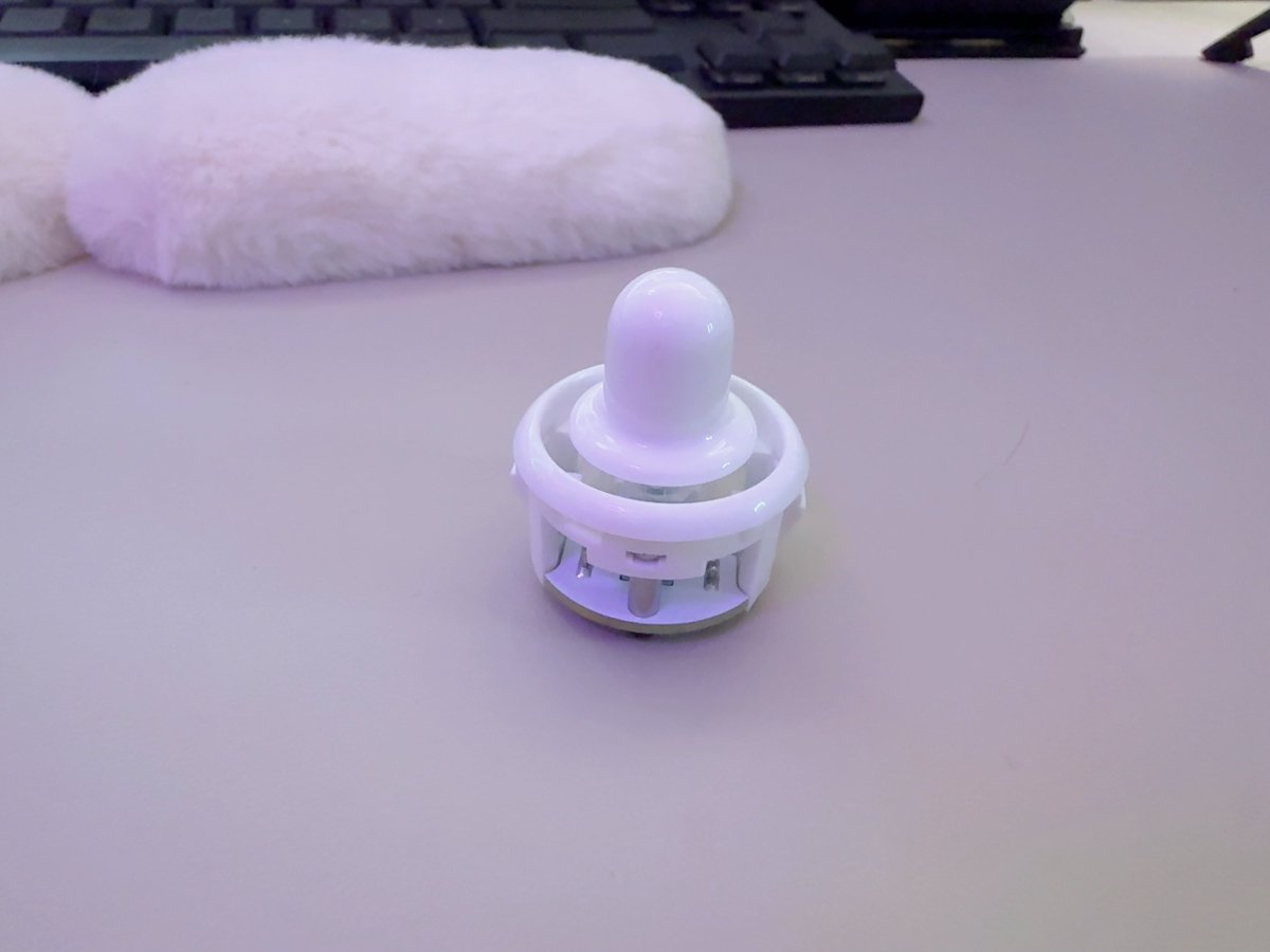 ASUKA🐾あすか tweet media