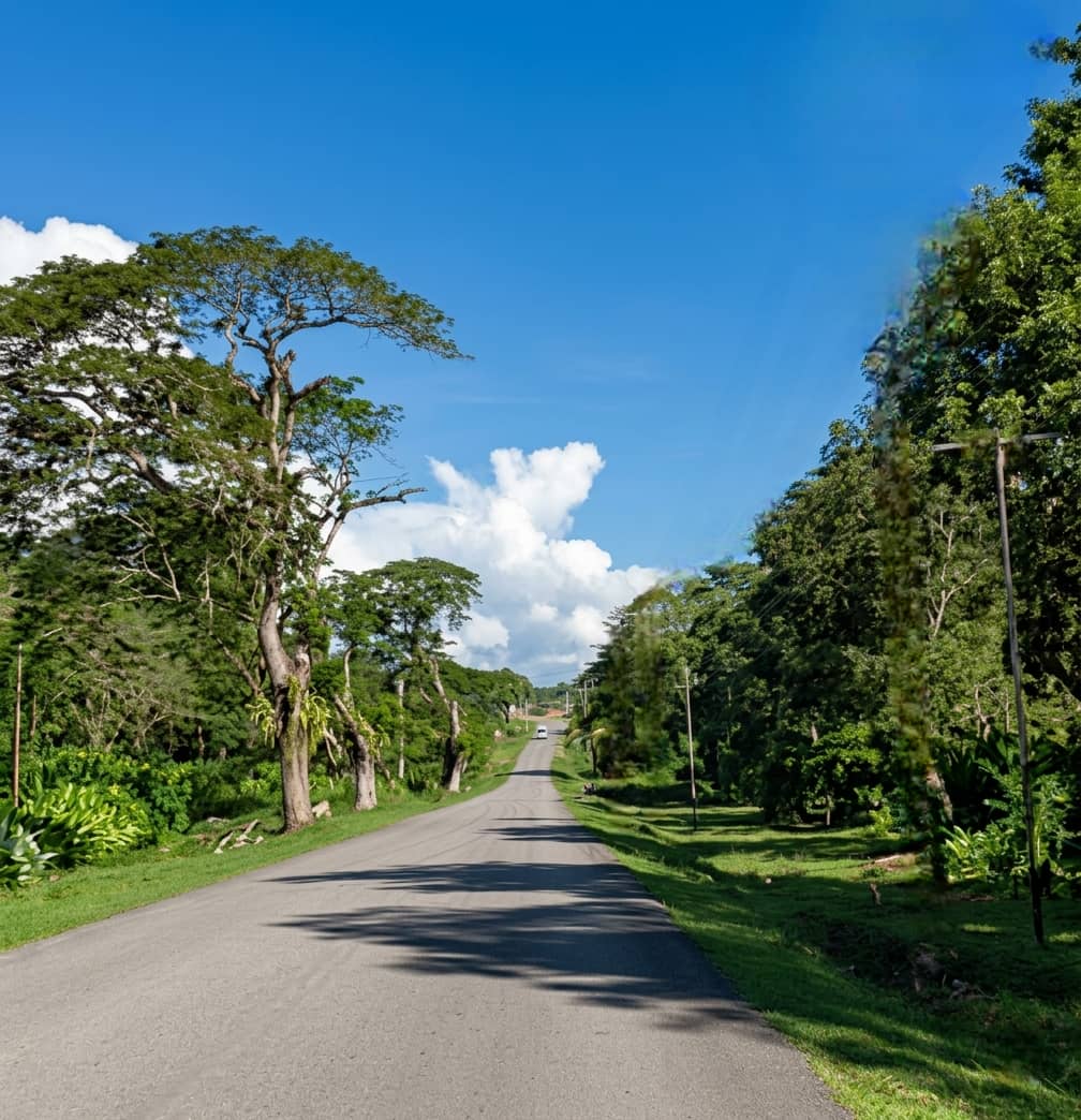 Mario Buffone tweet media