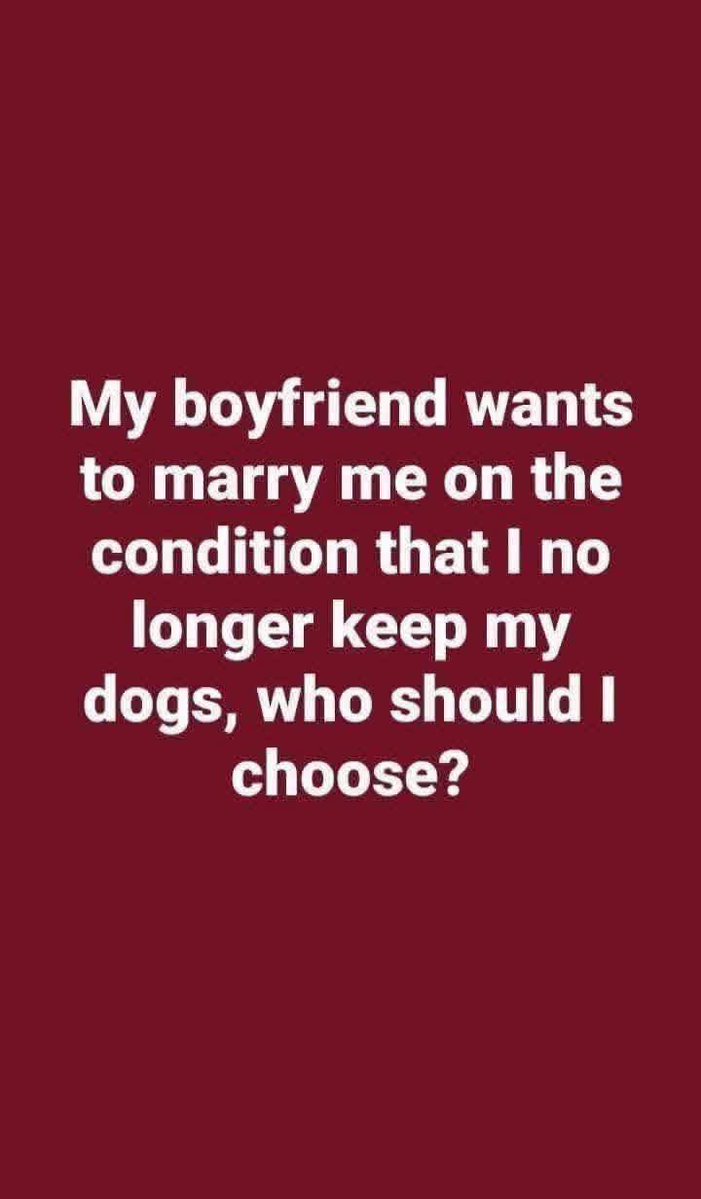 Kristina Bolten tweet media