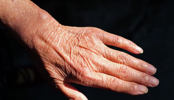 SIRÈNES tweet media