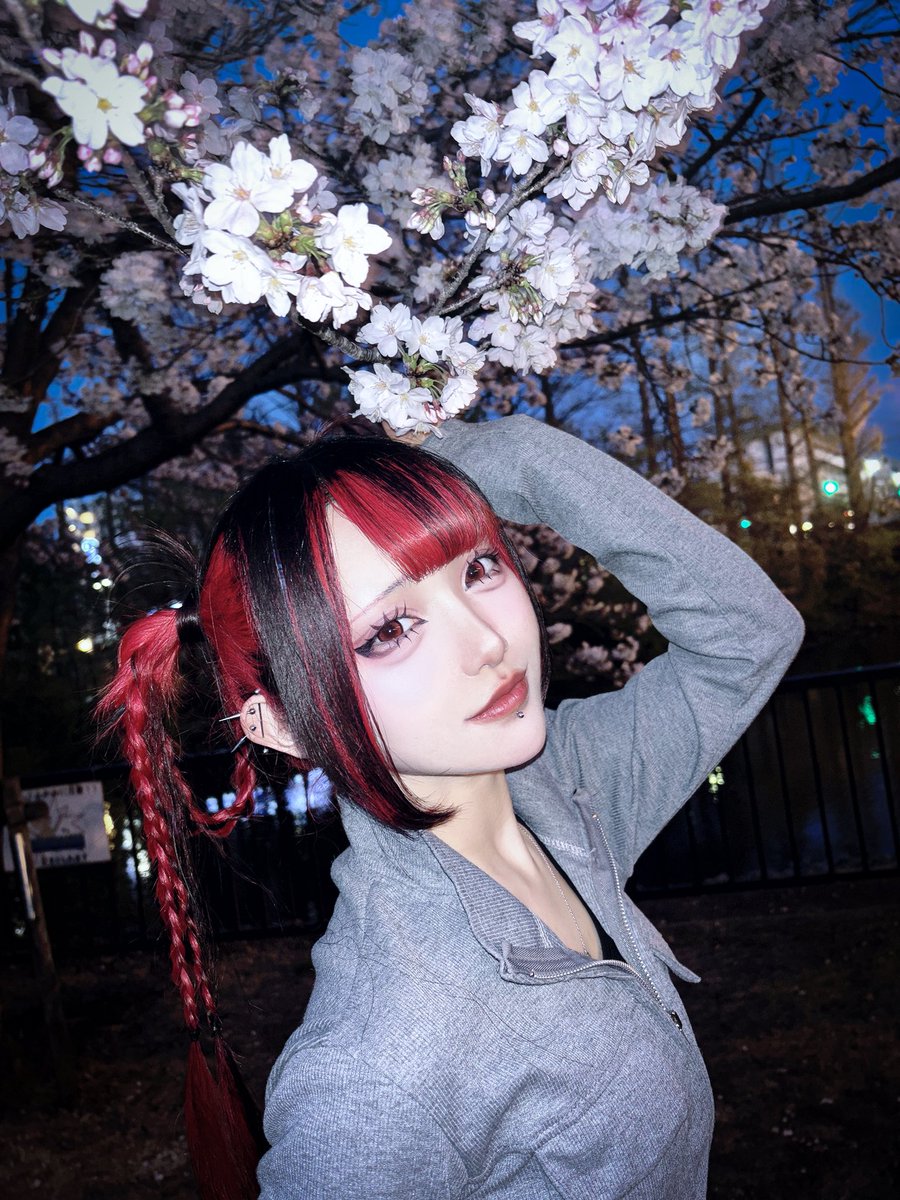 十代目るたん❗️ tweet media