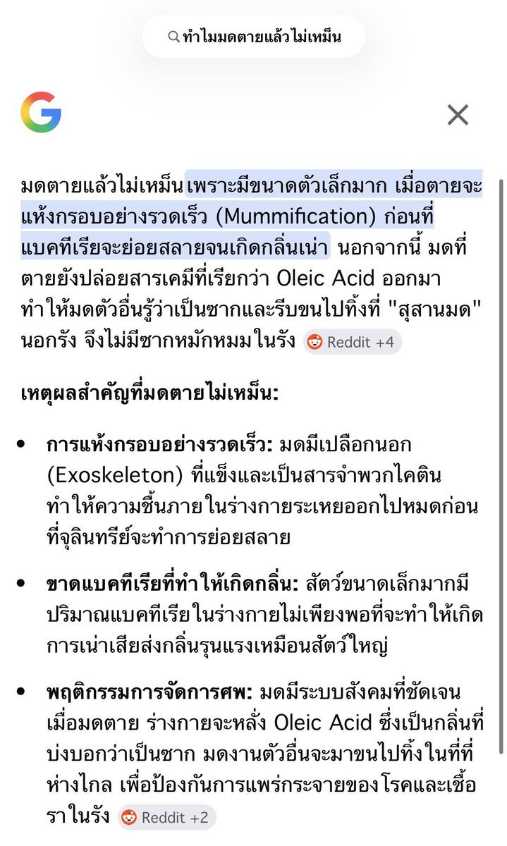 chaccath's tweet photo. สิ่งที่สงสัยวันนี้ “ทำไมมดตายแล้วไม่เหม็น” https://t.co/RgEL2XJo3Y