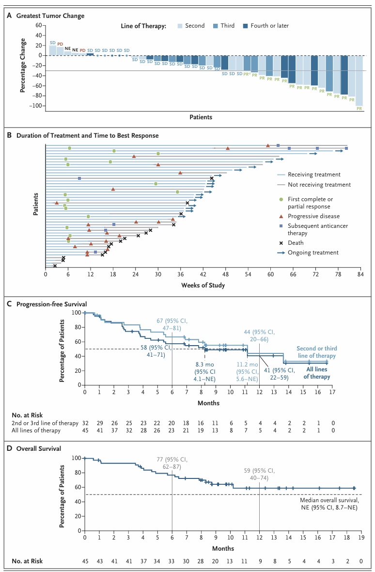Giuseppe Banna tweet media
