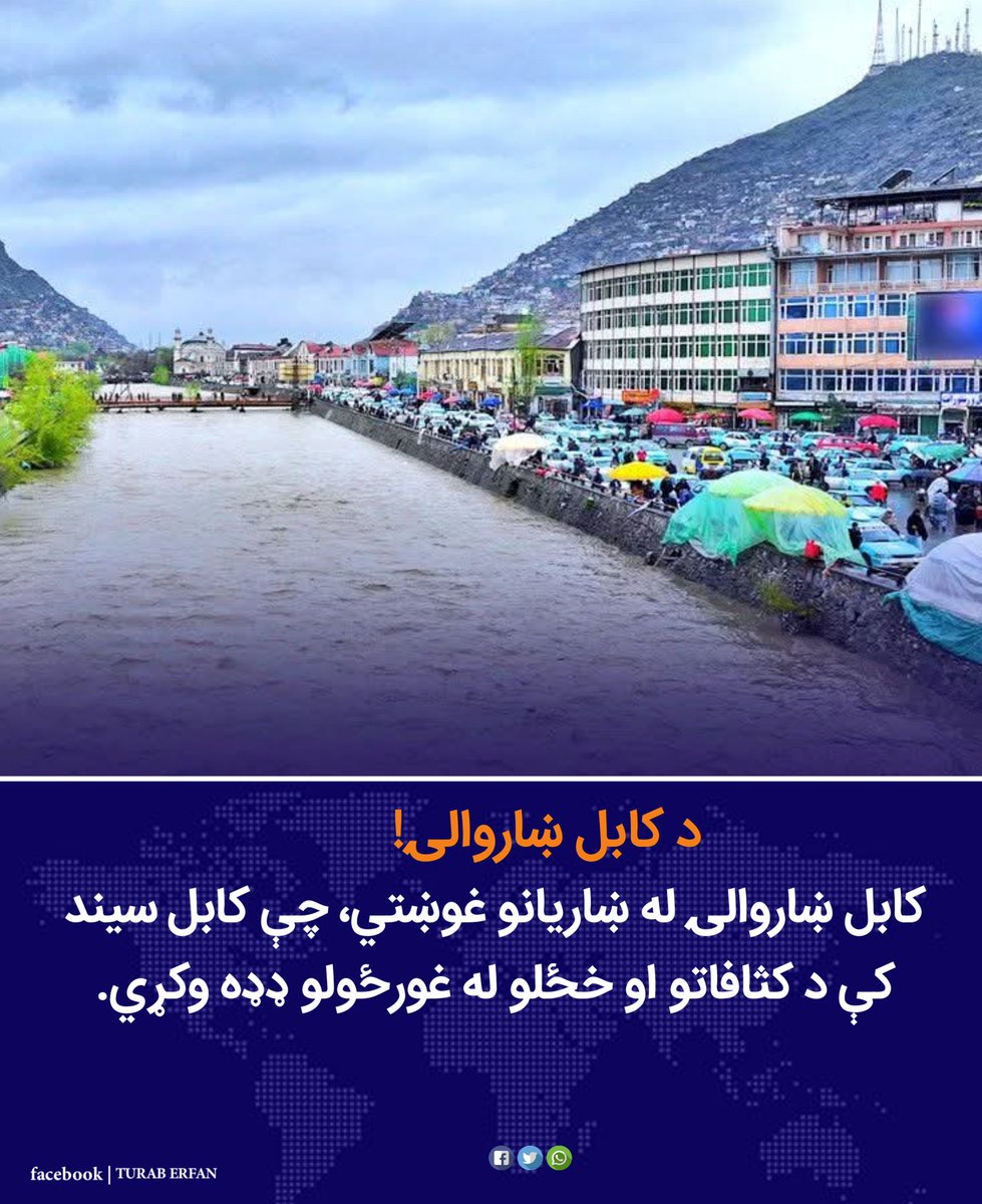 توراب عرفان (Turab Irfan) tweet media