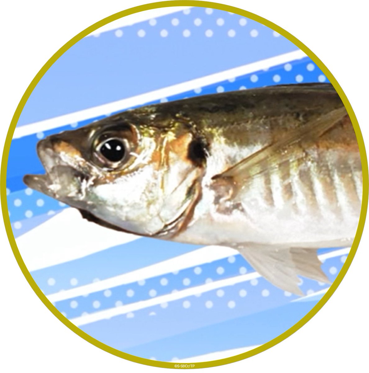 TVアニメ『お隣の天使様にいつの間にか駄目人間にされていた件』【公式】 tweet media