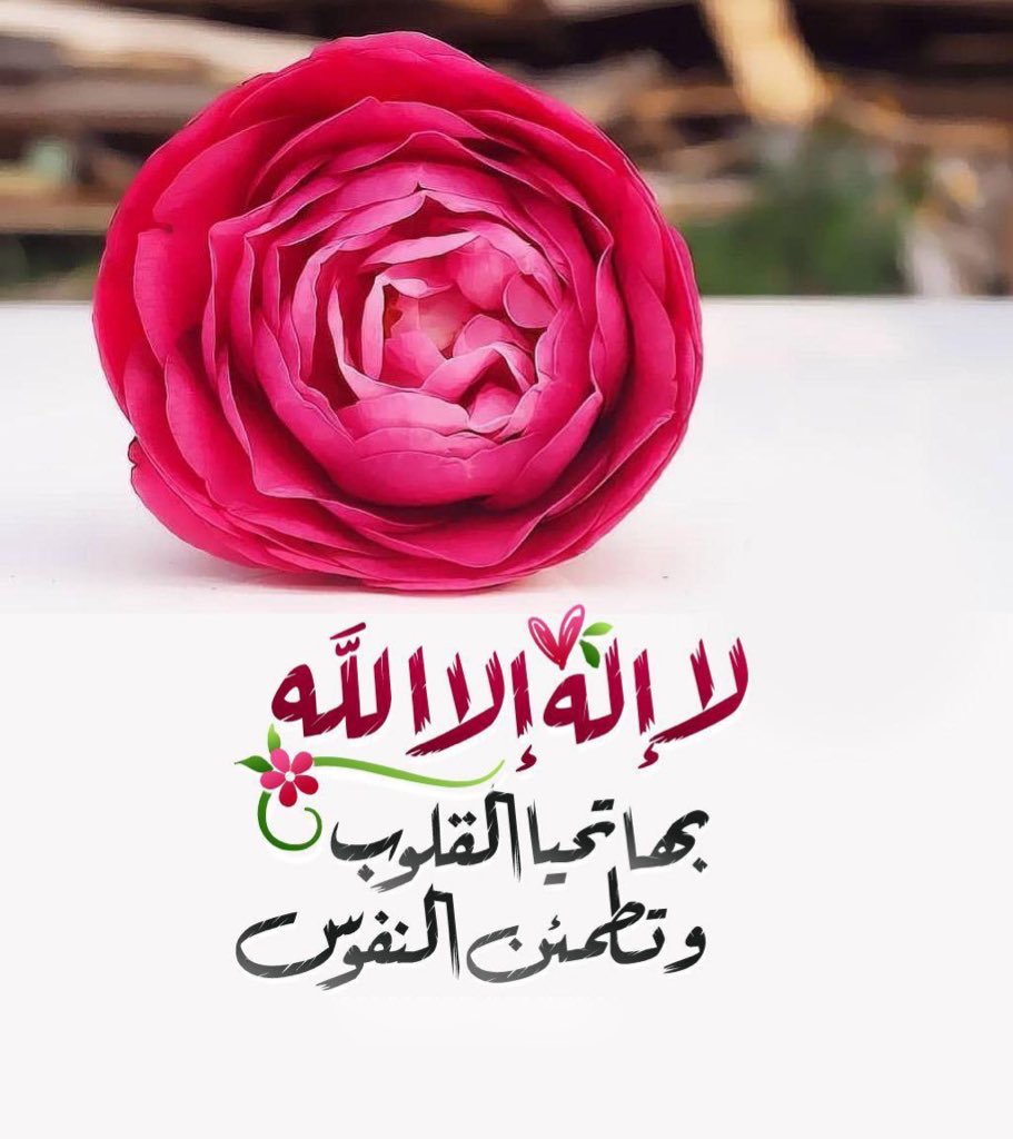 ضي ا لشمري .. tweet media