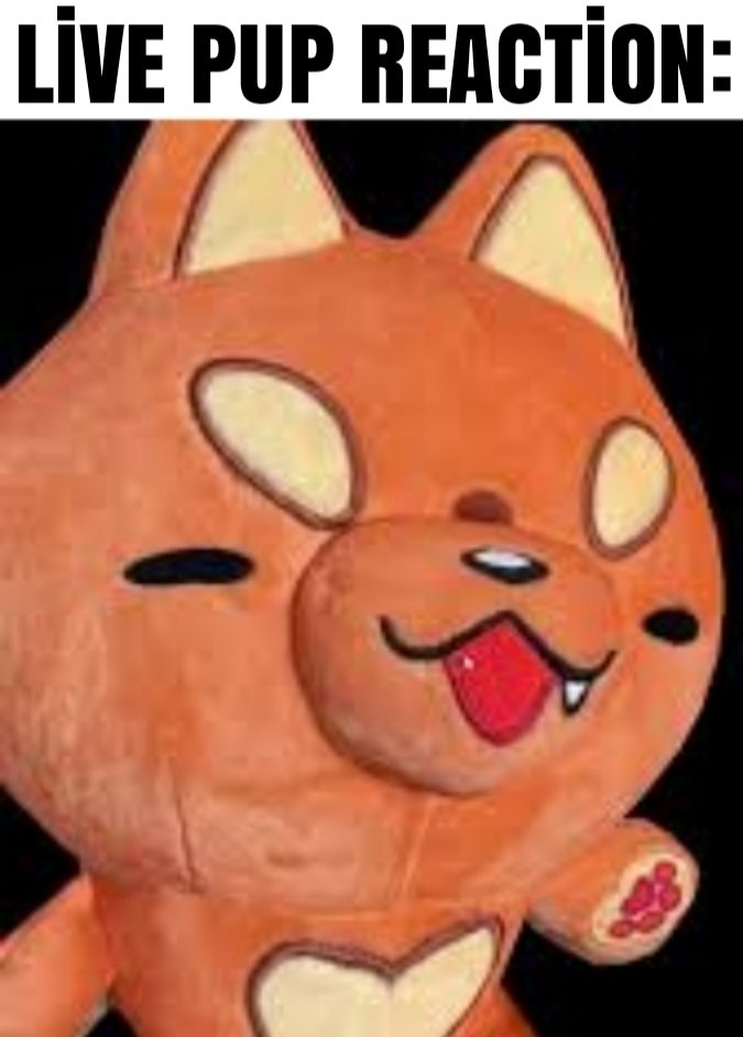 A_Random_Dirt_Block tweet media