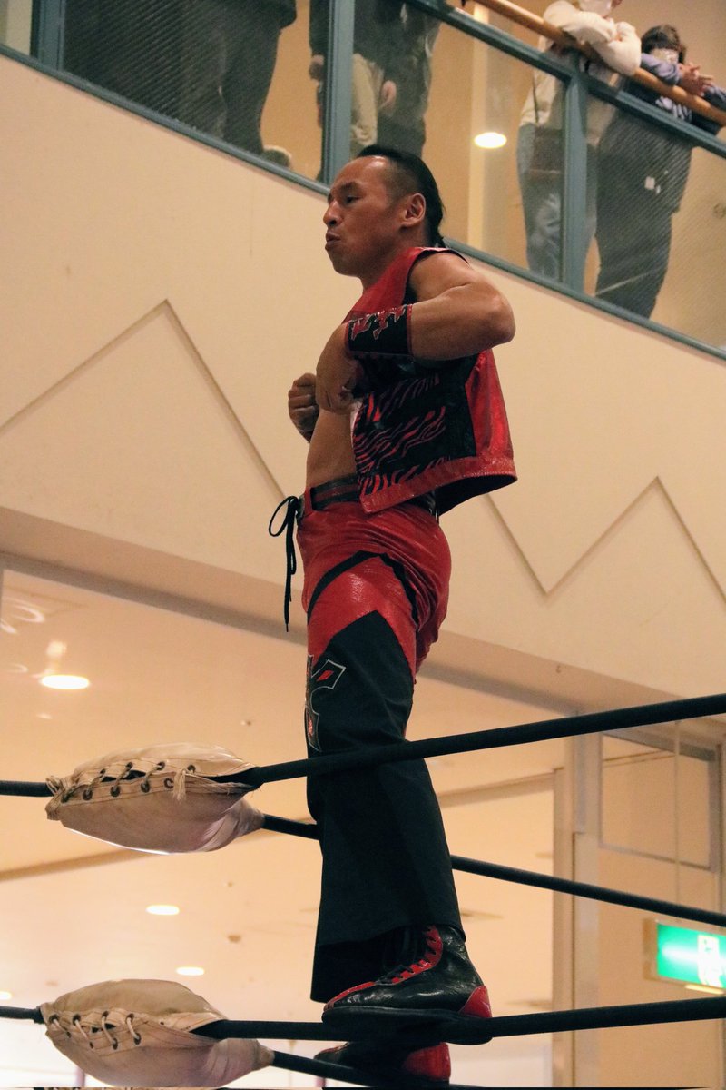 きまぐれ旅人 tweet media