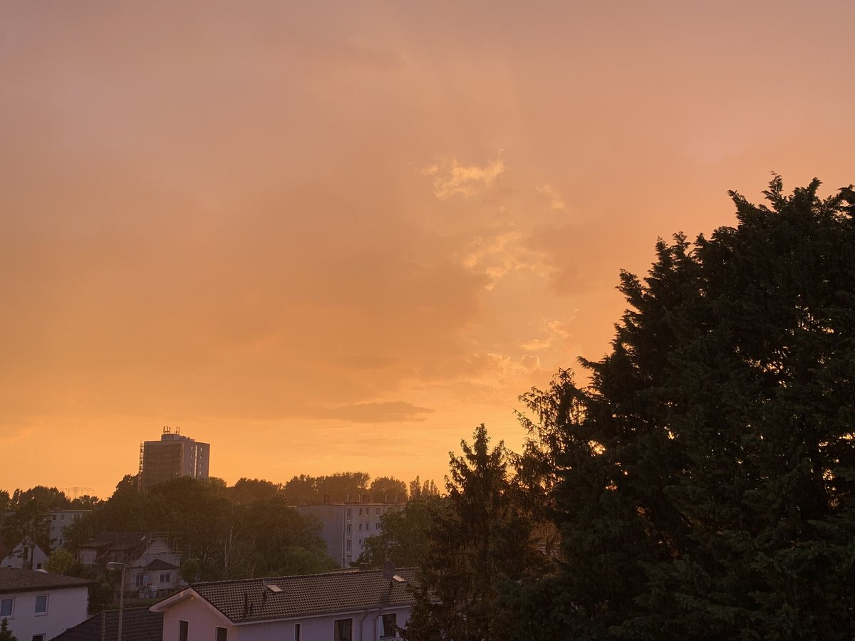 lilsy⋆˚𝜗𝜚˚⋆ tweet media