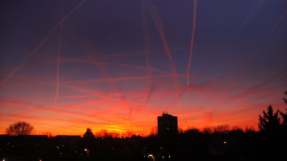 lilsy⋆˚𝜗𝜚˚⋆ tweet media