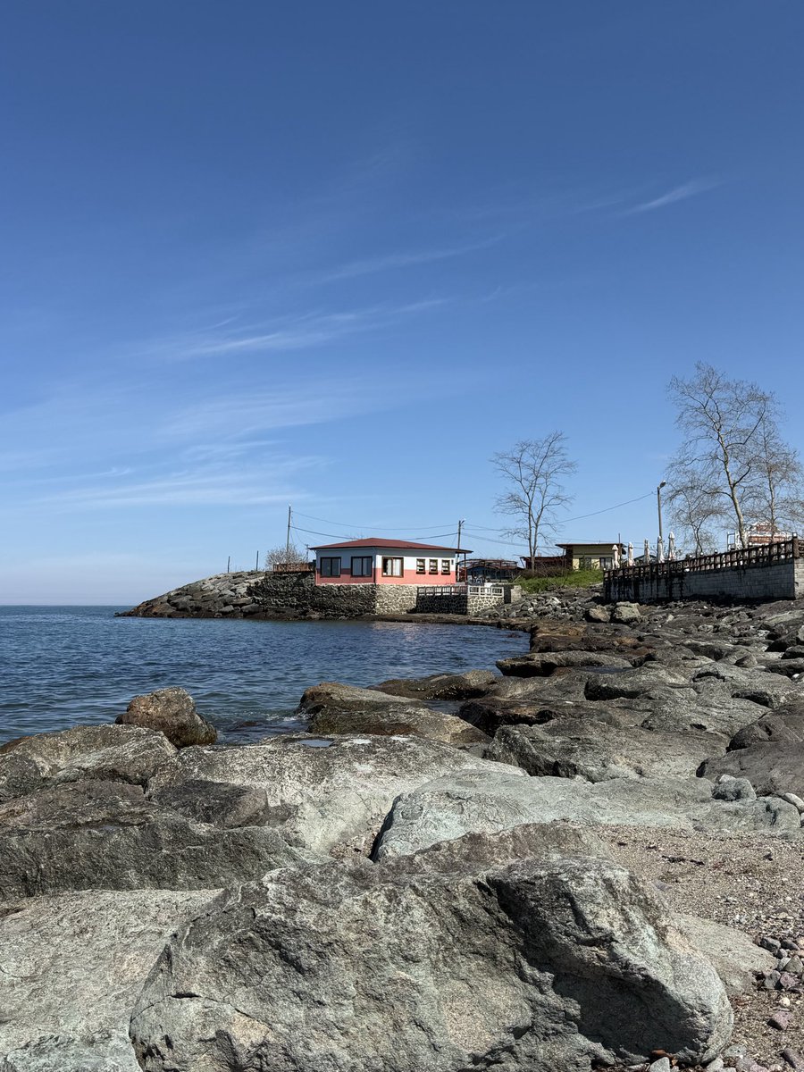 Berfin Rivero Loloy tweet media