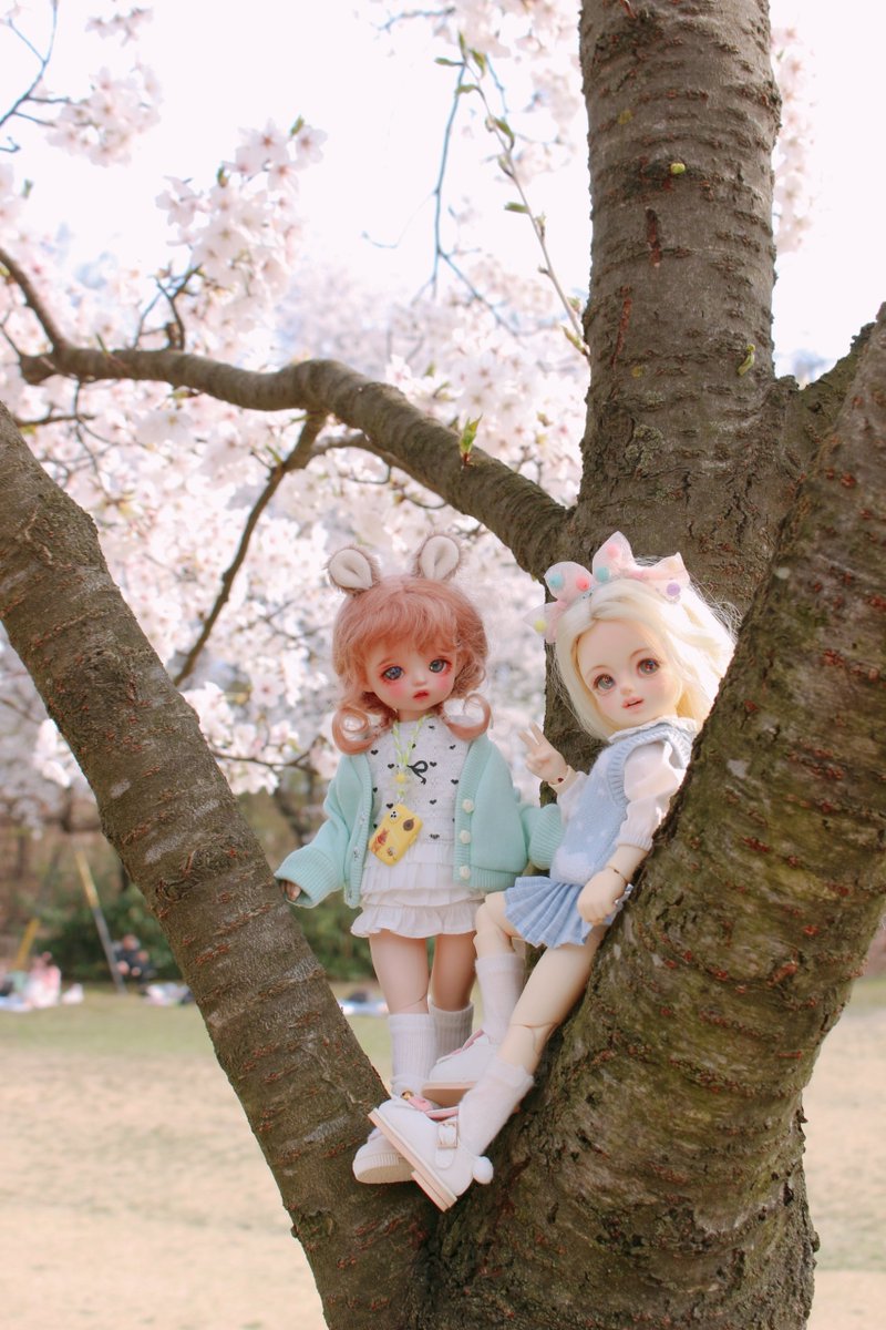 ᴊᴇɴɴɪᴇ*ʙʙᴏ🐾 tweet media