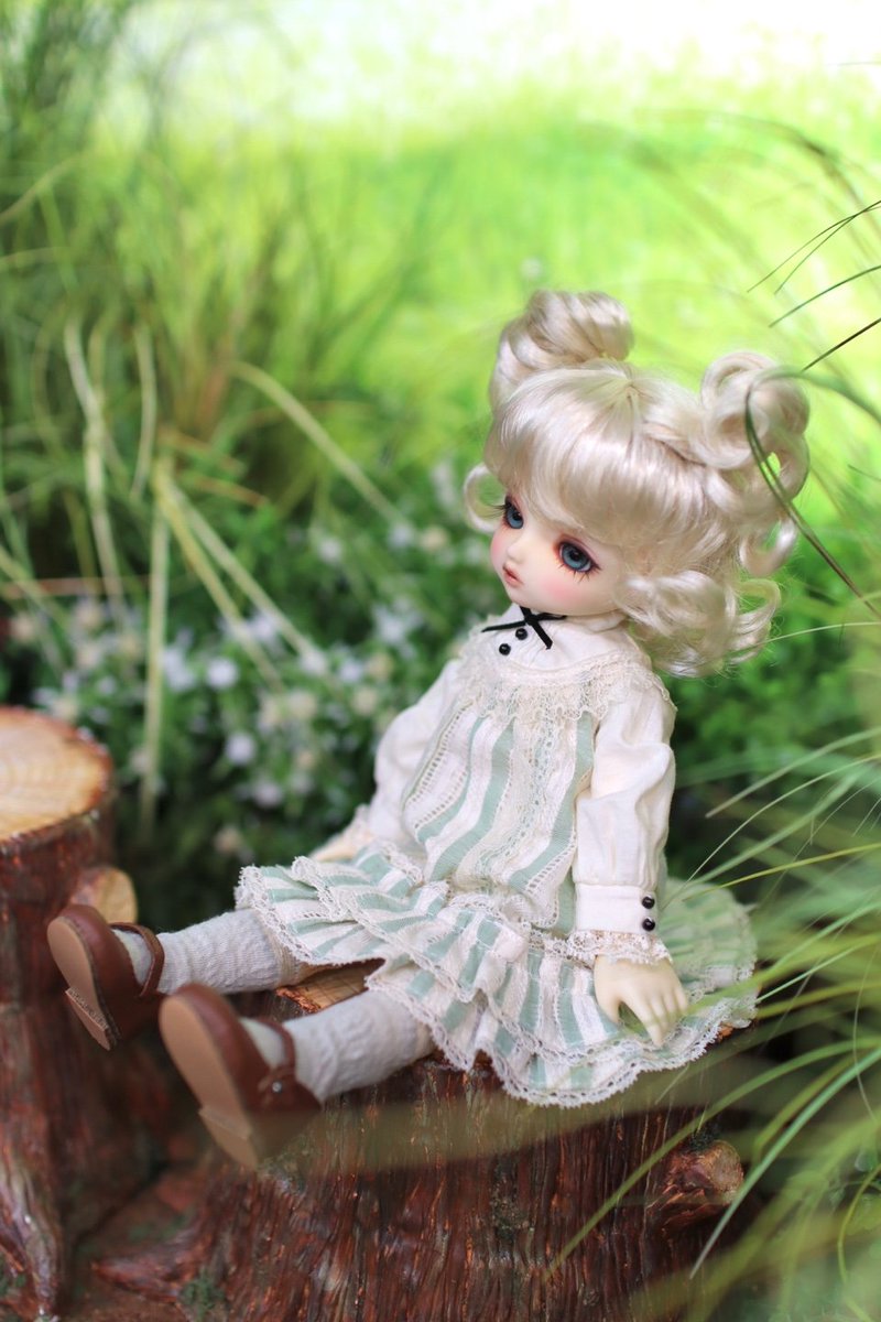 레몬밤 tweet media