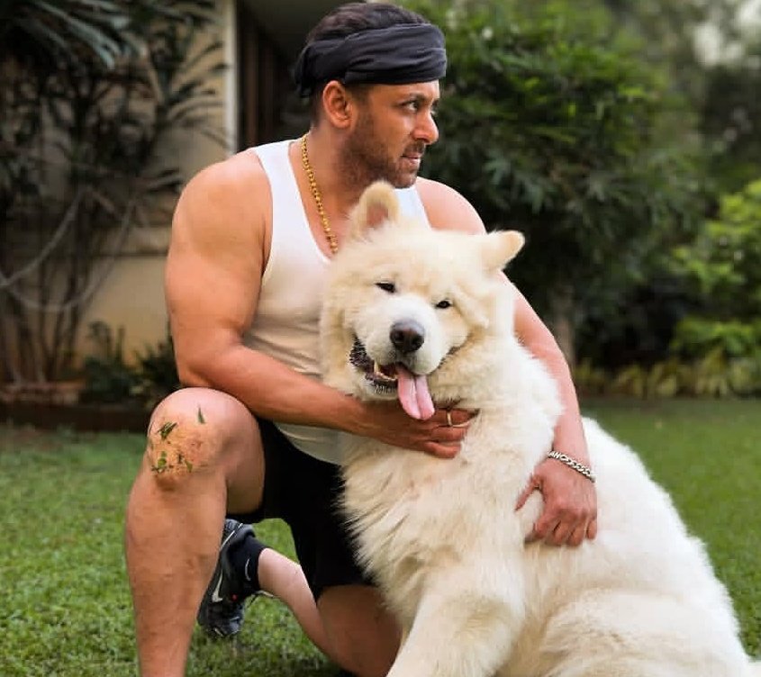 Jaiky Yadav tweet media