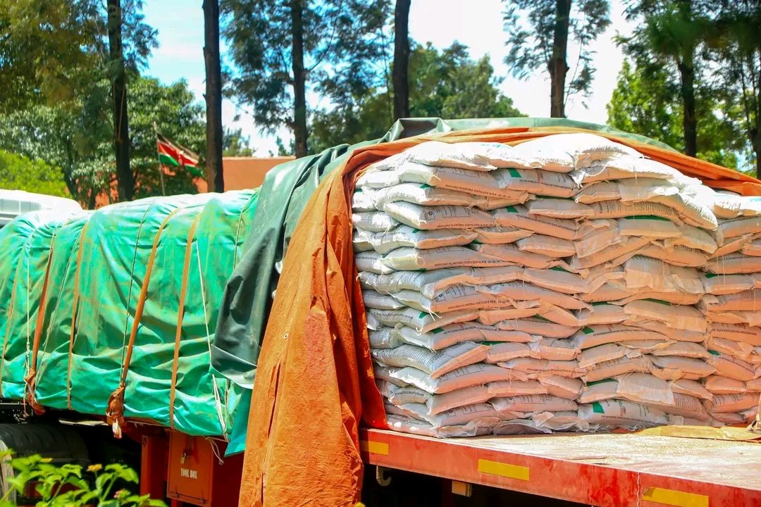 Philister Manyatta tweet media