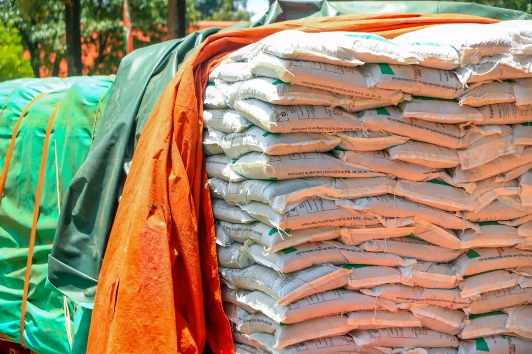 Philister Manyatta tweet media