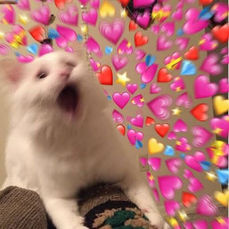 katewww_ tweet media