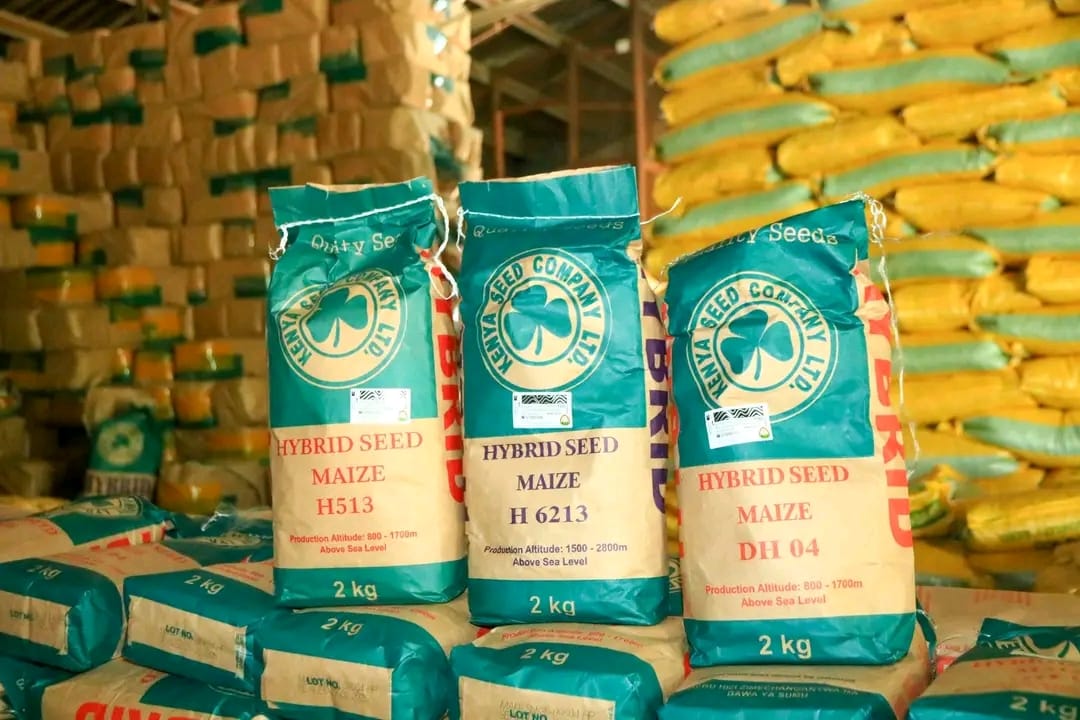 Philister Manyatta tweet media