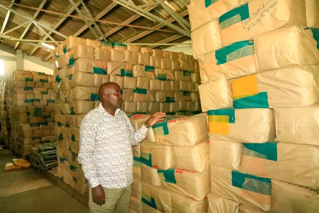 Philister Manyatta tweet media