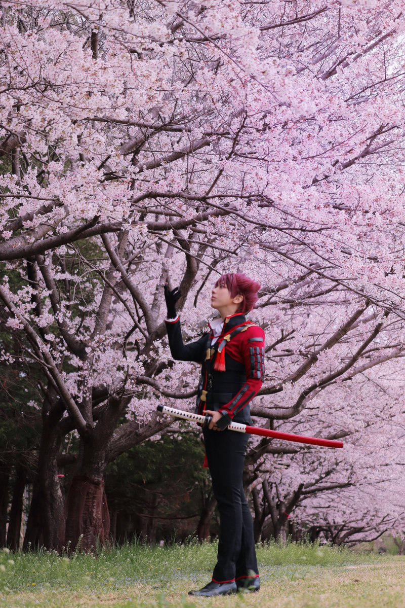 ところがどっこい🍰🍮🍩🍹🍪🍘🍦🍫 tweet media