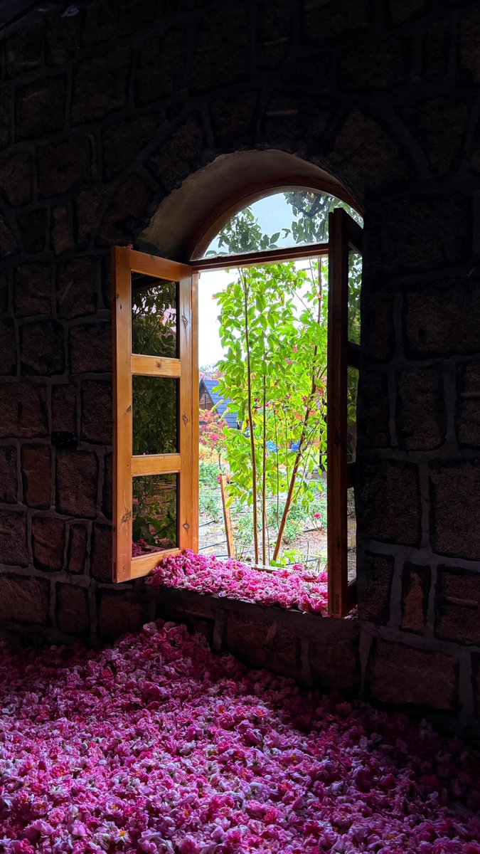 محافظة الطائف tweet media