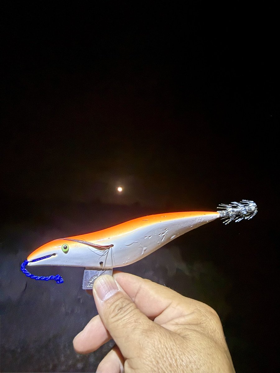 金城太志郎(赤侍) tweet media