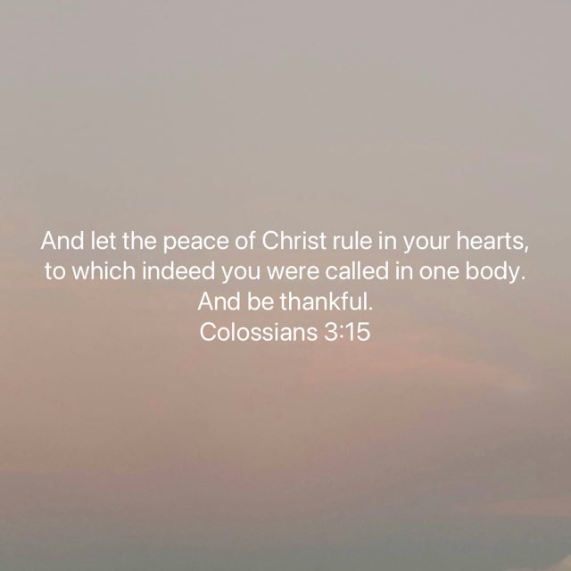 Jeff Bickerstaff tweet media