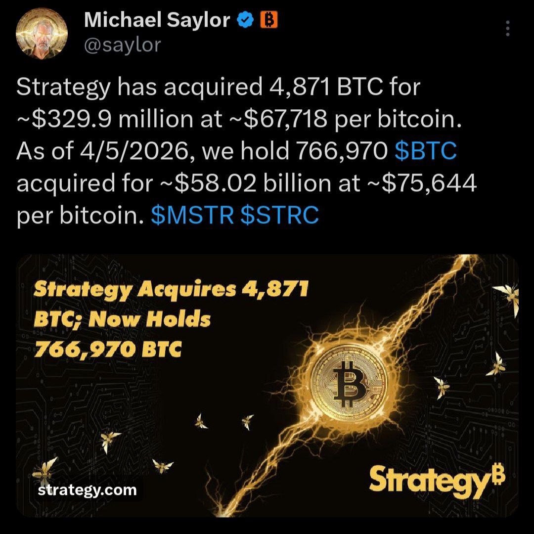 🐋 شيماء || عملات رقمية official tweet media