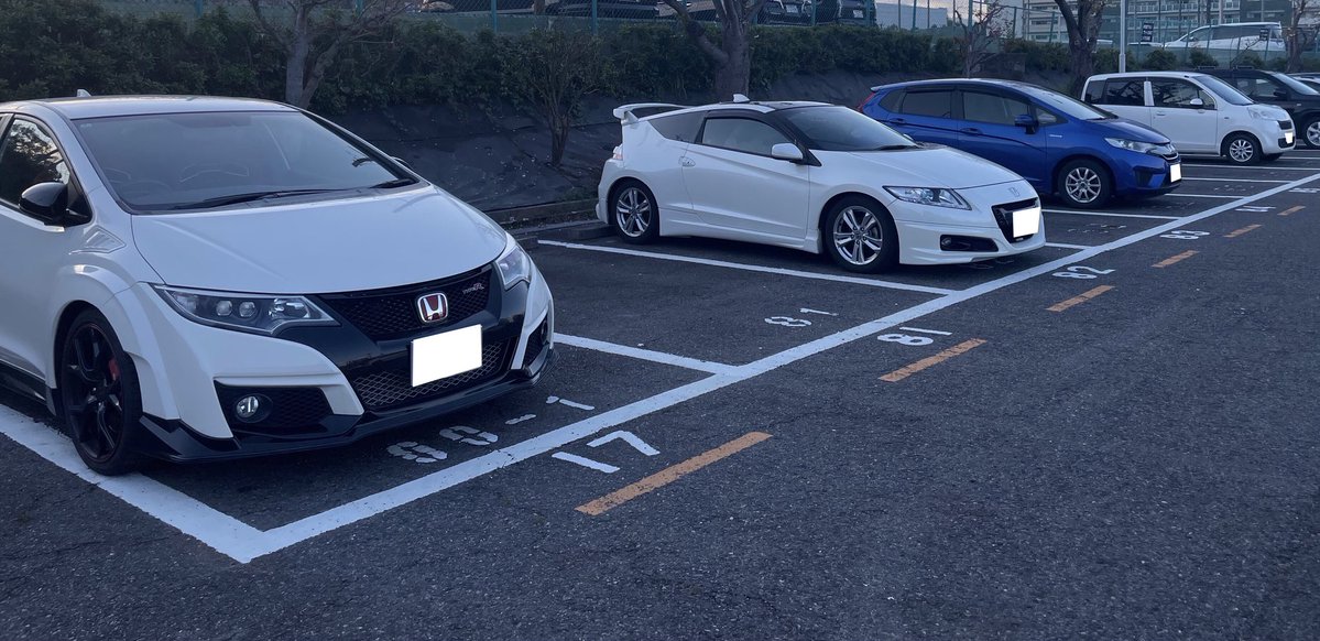 ソフィー✨ tweet media