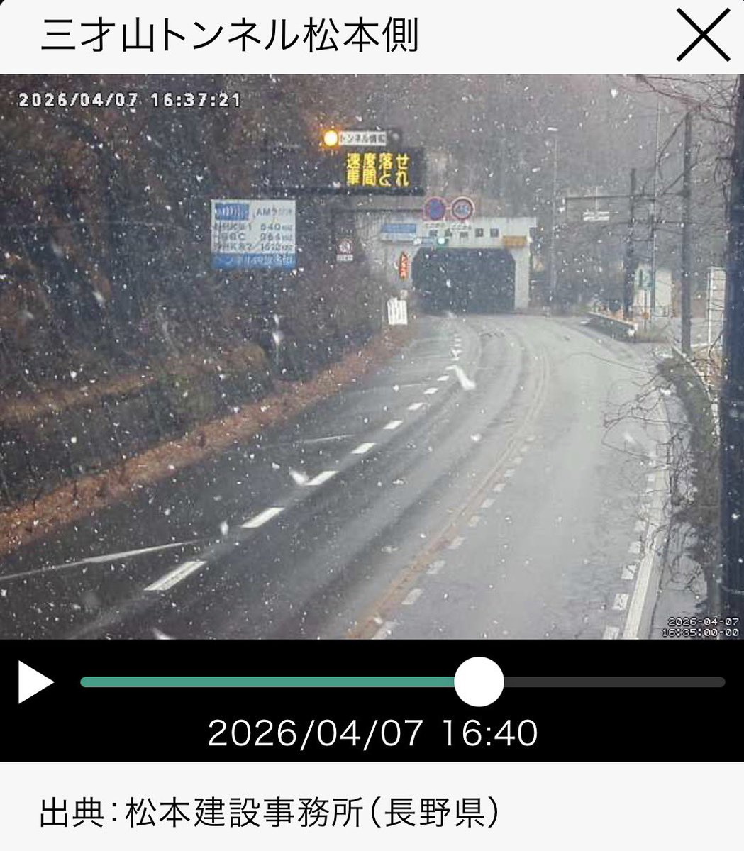 マツサイ tweet media